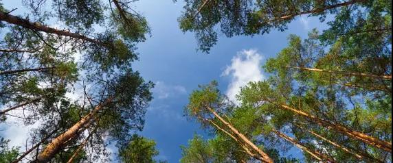 1542612018625897.jpg 微信圖片_20181119151704.jpg