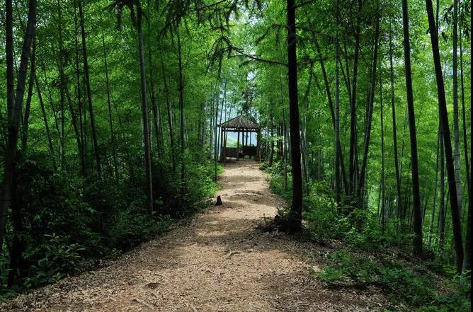 1542612030915802.jpg 微信圖片_20181119151803.jpg