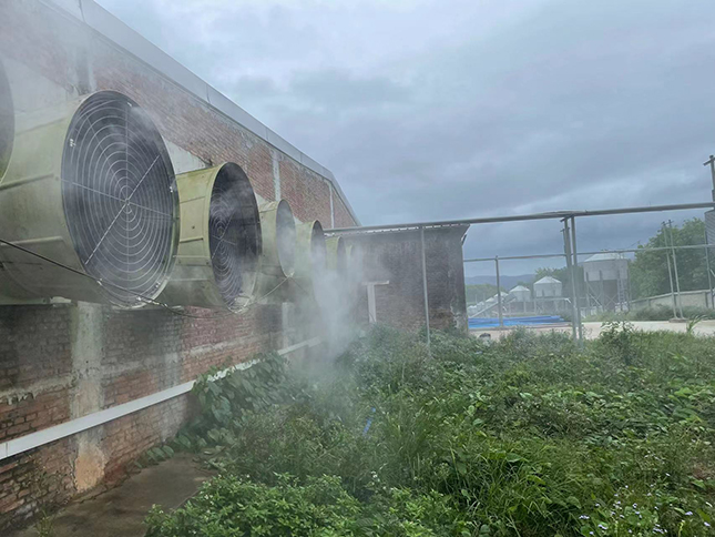 1760511183431297.jpg 3.jpg